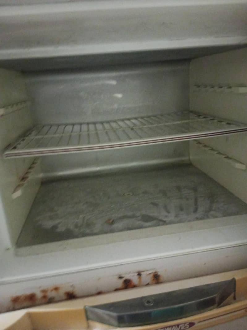 waves fridge 6