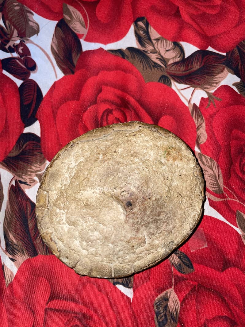 Ancient Turtle Shell Fossil 6
