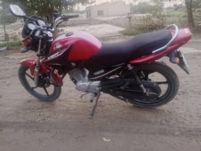 Yamaha ybr 2023 10/10