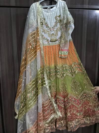 Fully embroidered net maxi with embroidered net dupatta