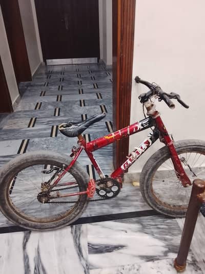 phoenix cycle