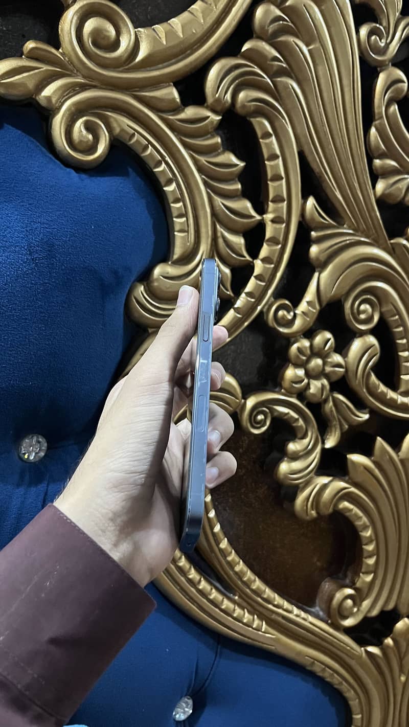 Apple iPhone 13 Pro Max 1