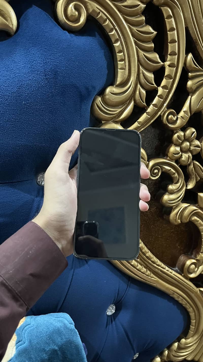 Apple iPhone 13 Pro Max 2