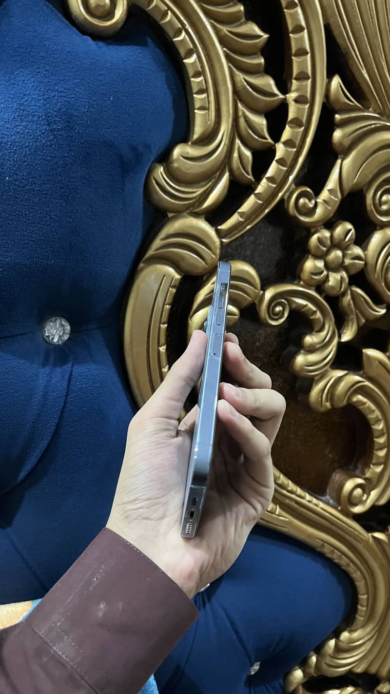 Apple iPhone 13 Pro Max 3