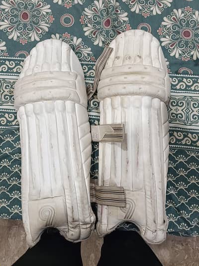 2helmets/2pads/2bags/2bats english willow full power full bat