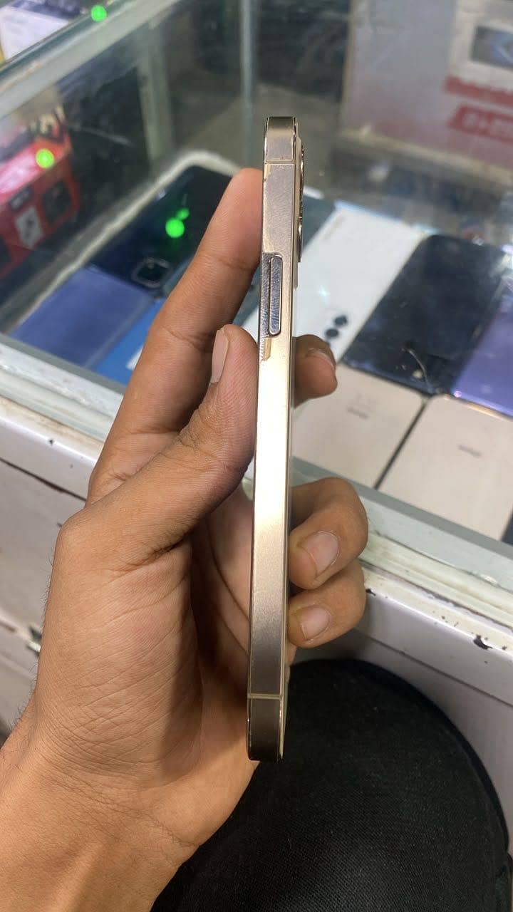 12 pro 1