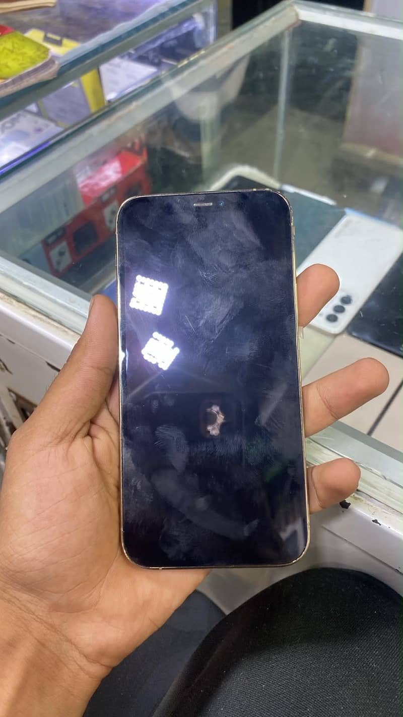 12 pro 3