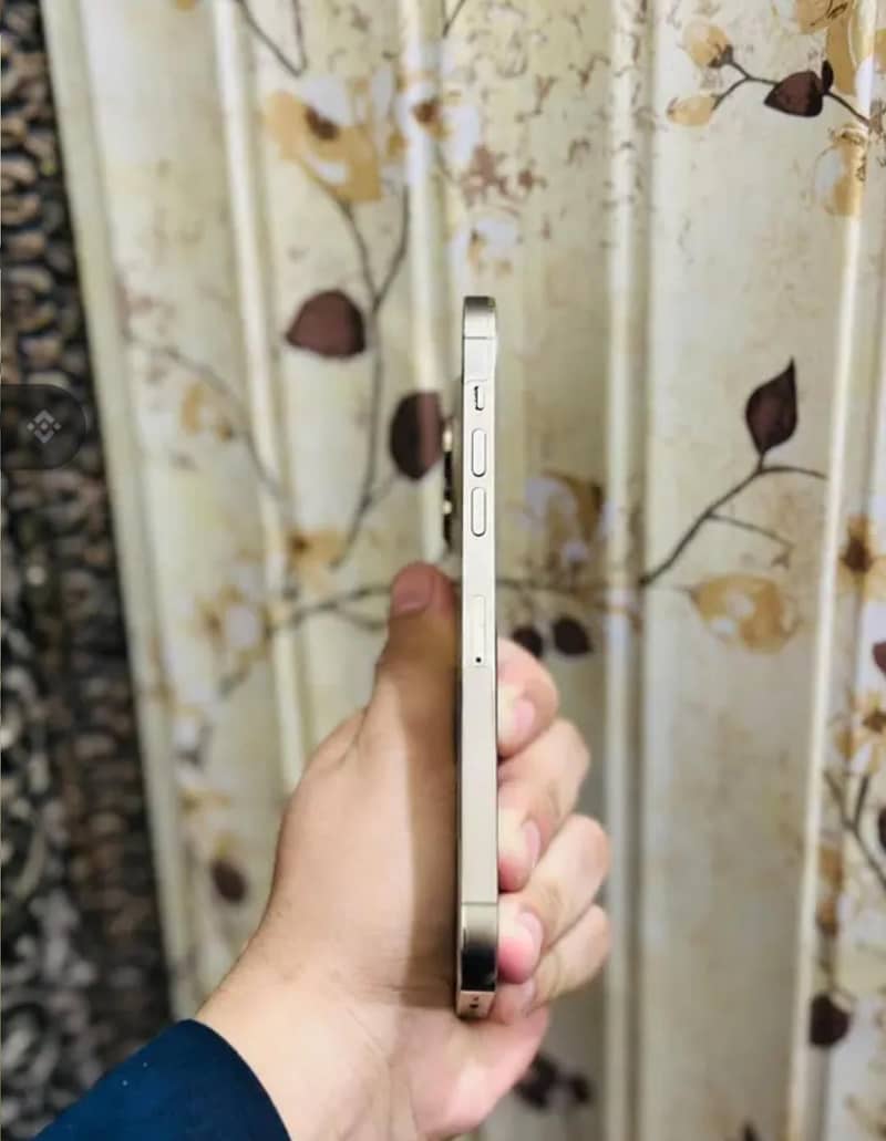 Apple iPhone 14 Pro Max final price dead Final 4