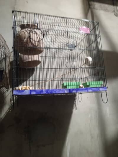 new cage sath m do mutki bi h 1 month use Kiya h bs biklik 10/9 h