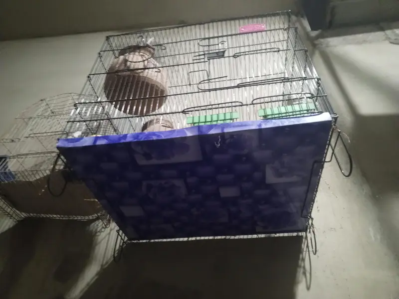 new cage sath m do mutki bi h 1 month use Kiya h bs biklik 10/9 h — photo 2