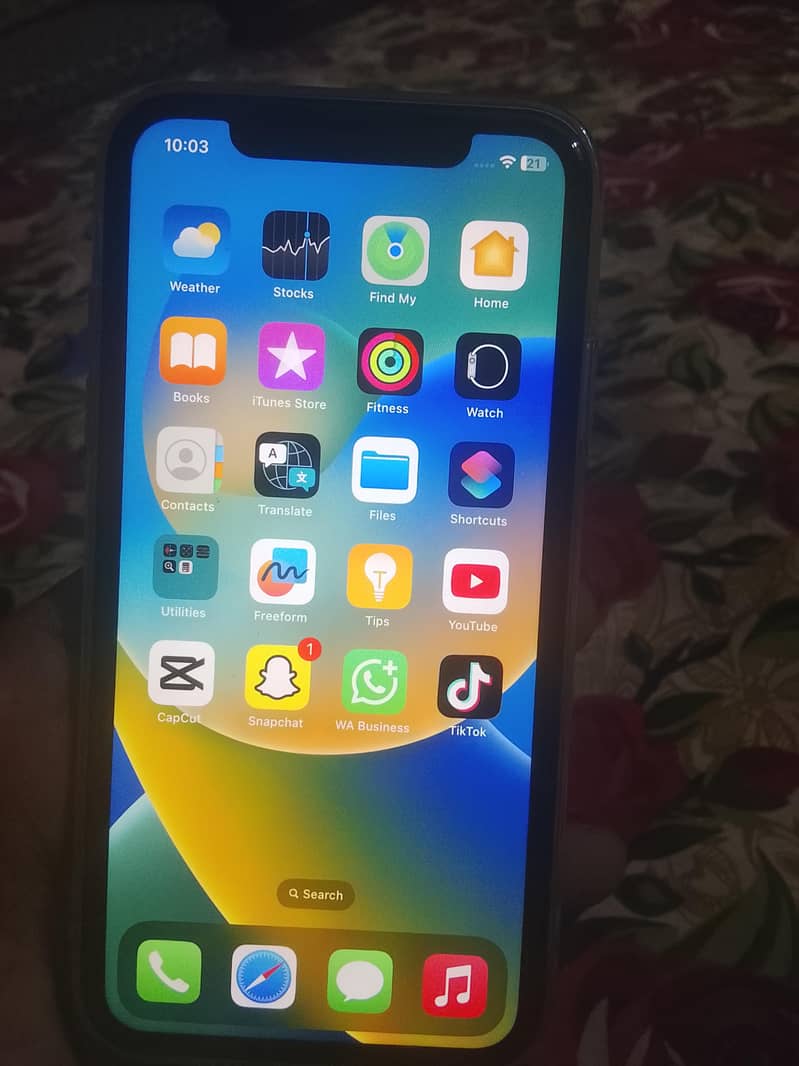 Apple iPhone 11 0