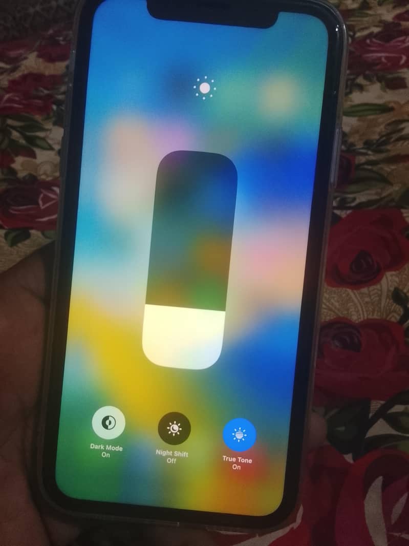 Apple iPhone 11 4