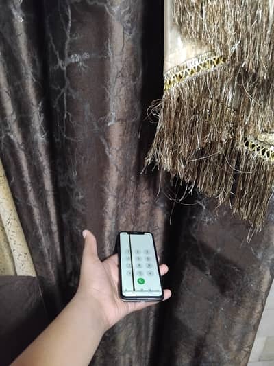 Apple iPhone X