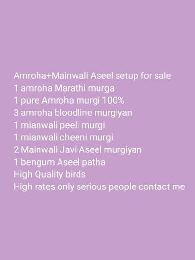 Amroha Mianwali setup for sale.