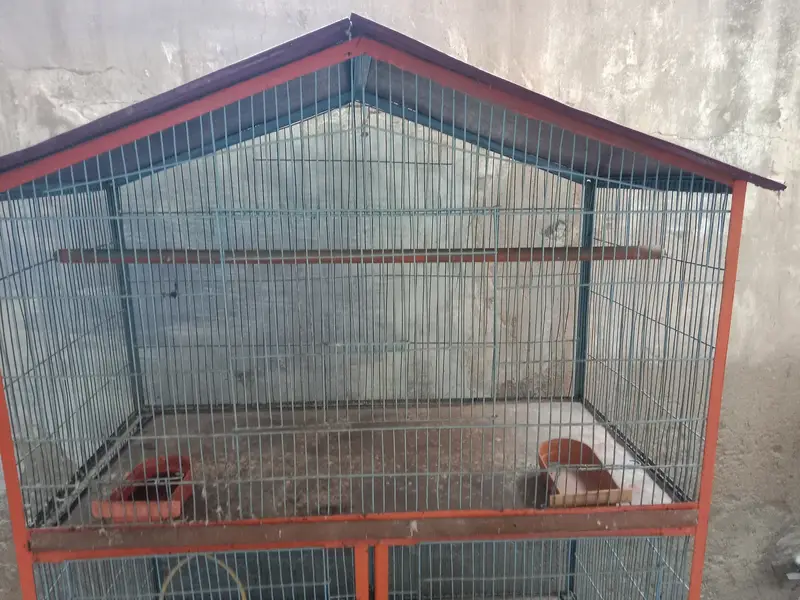 Cage 5 se 6 fit lambai hi — photo 3