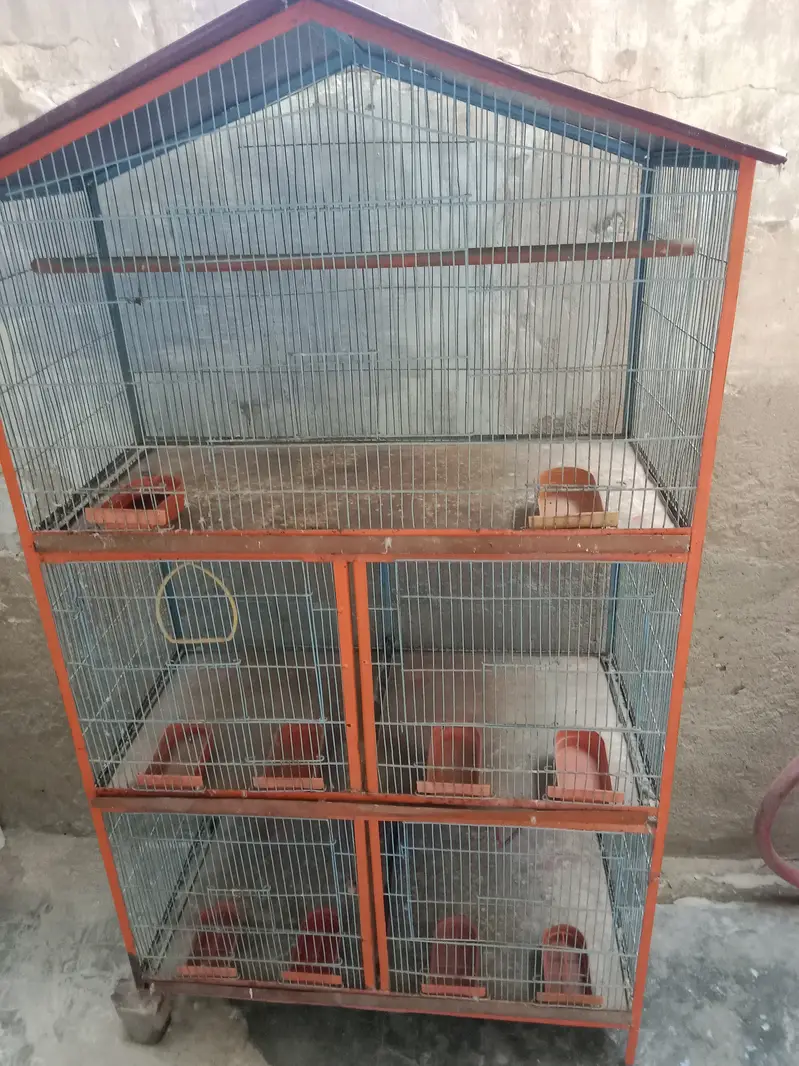 Cage 5 se 6 fit lambai hi — photo 4