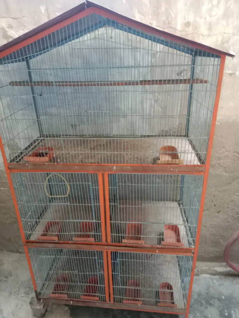 Cage 5 se 6 fit lambai hi — photo 5