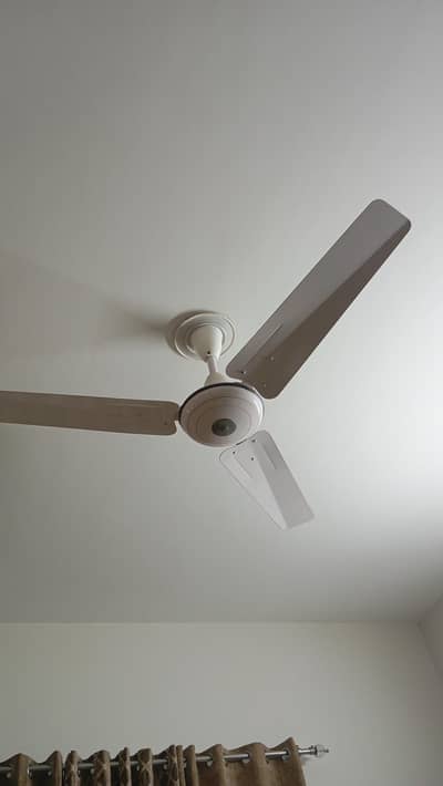 GFC Ceiling Fan For Sale.