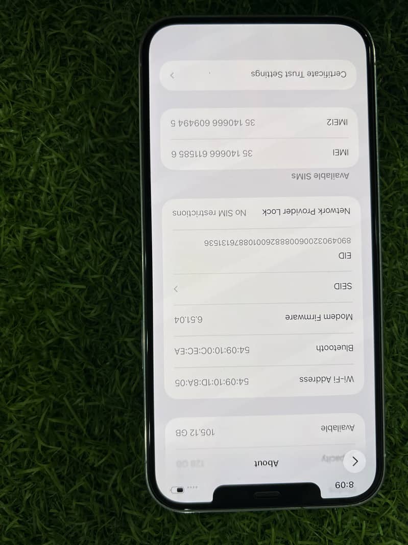Apple iPhone 12 Pro Max 13