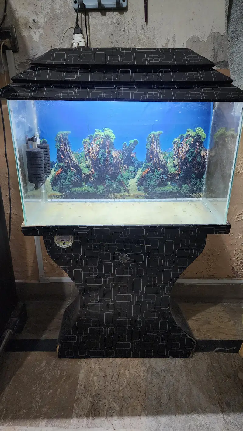fish aquarium — photo 2