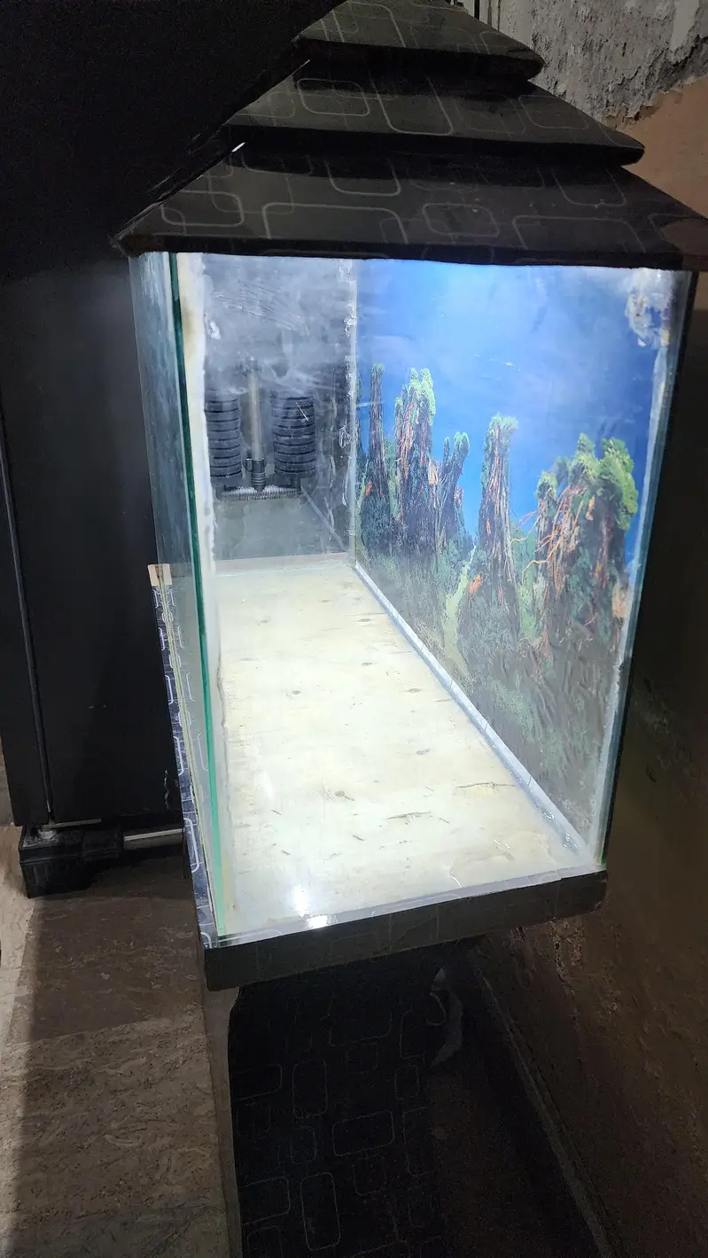 fish aquarium — photo 3
