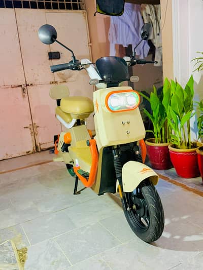 pigeon Scooty superstar