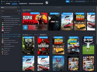 steam games library GTA V, RDR2, Forza & More