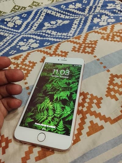 Apple iPhone 6S Plus