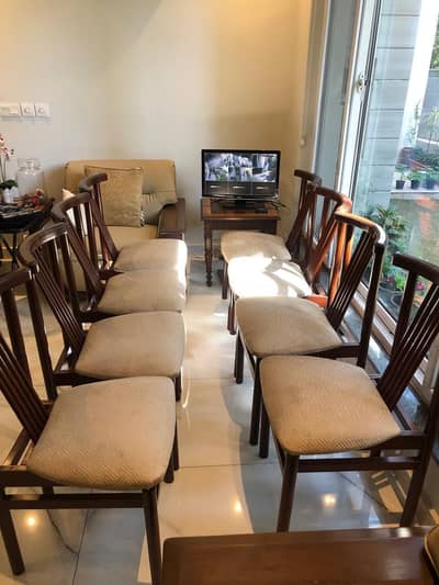 Premium dining chairs