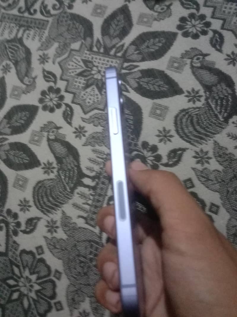 Apple iPhone 12 1