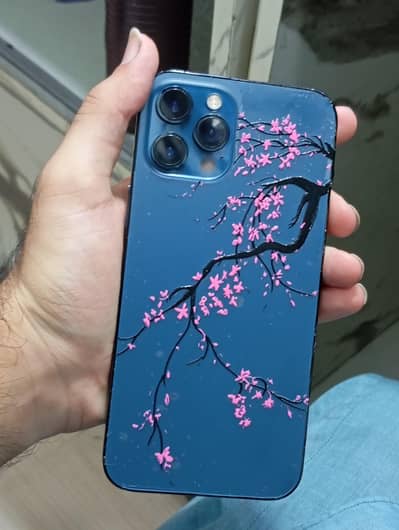 Apple iPhone 12 Pro Max