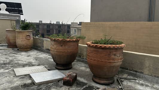 Plants planters and pots