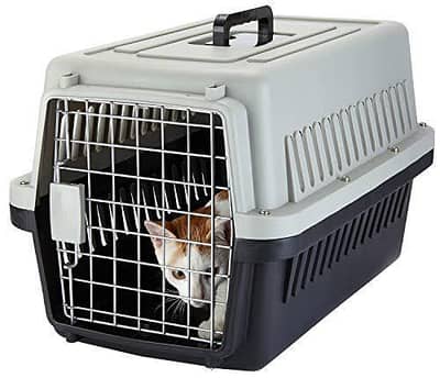 cat carrier box for sale imported