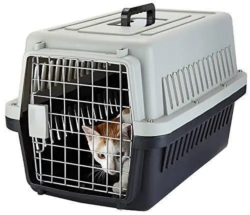 cat carrier box for sale imported — photo 3