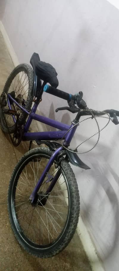 24 inch cycle in Excellent condition