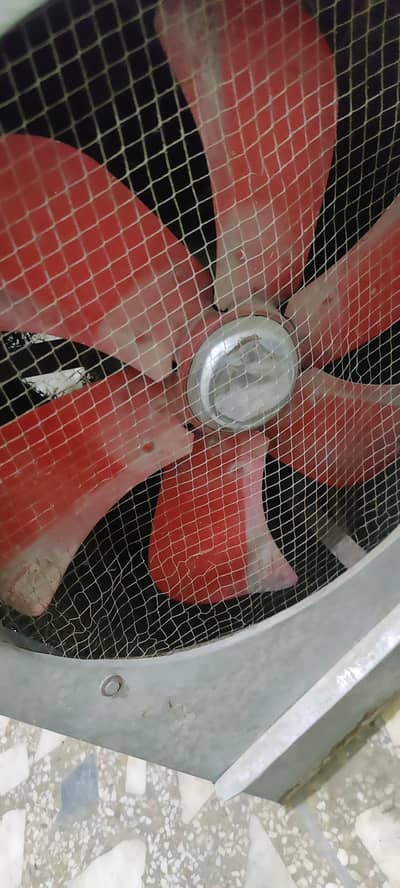 lohari Air Cooler