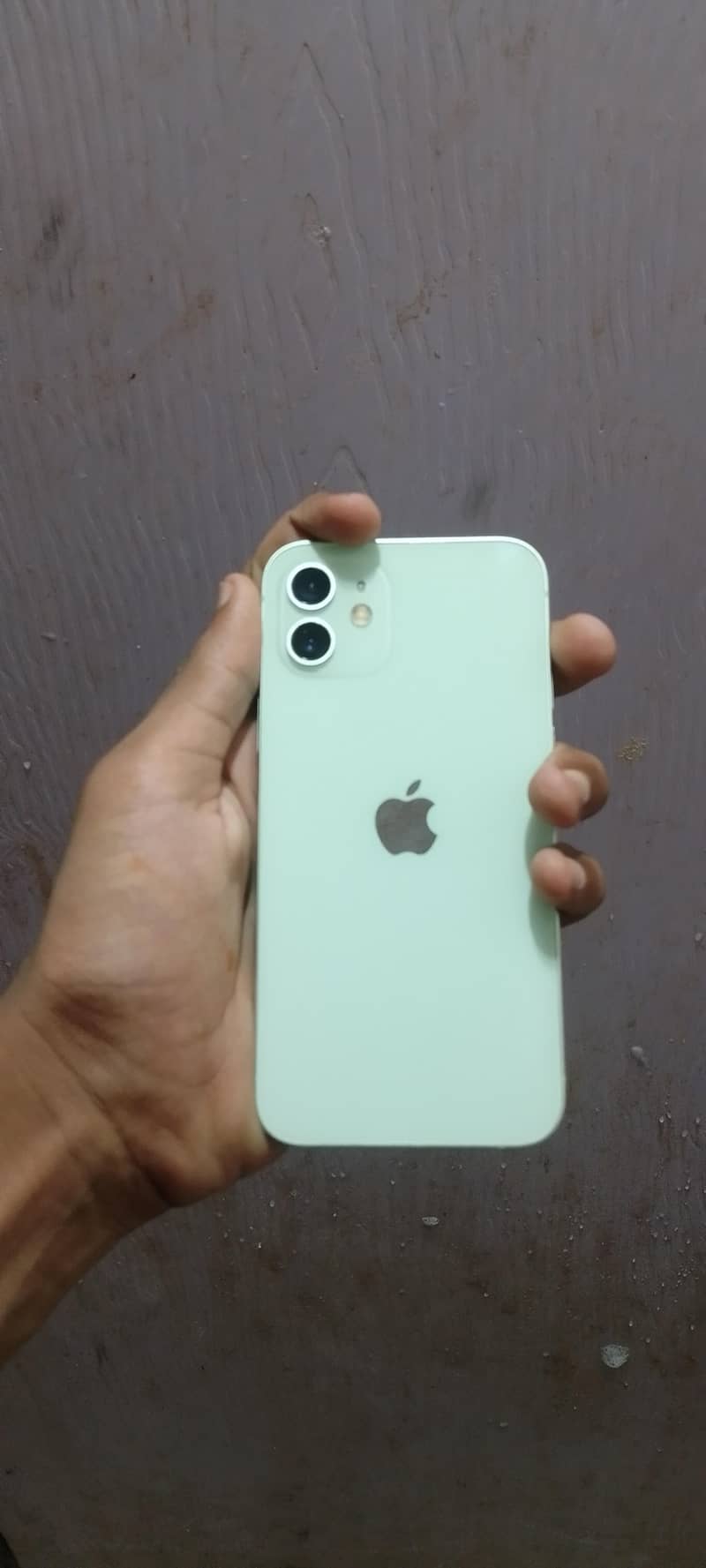 Apple iPhone 12 1