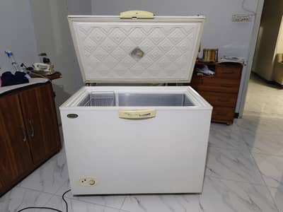 Waves single door freezer