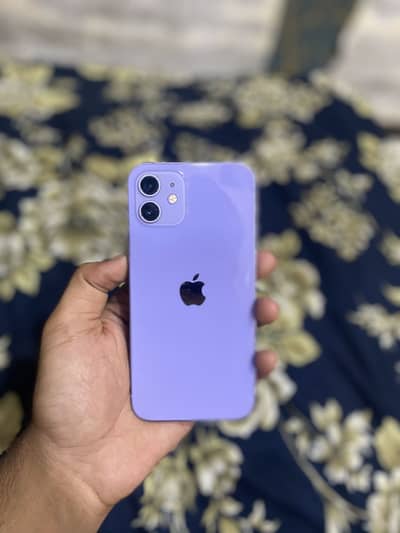 Apple iPhone 12 JV waterpack