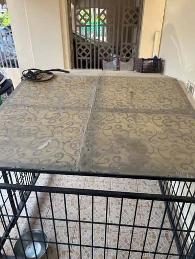 urgent sale dog cage