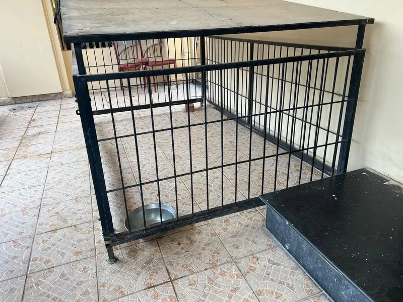 urgent sale dog cage — photo 2