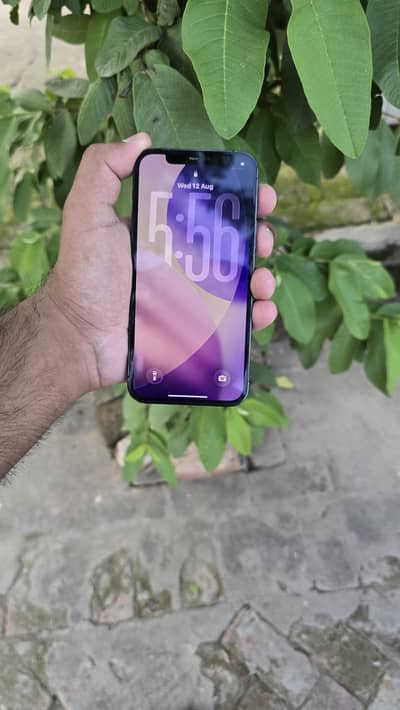 Apple iPhone 12 Pro