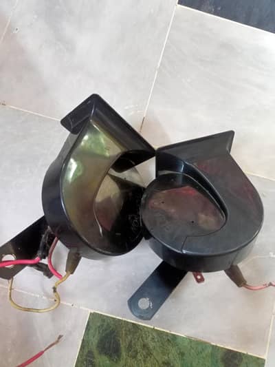 Horn pair for sale