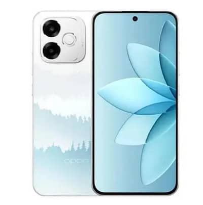 OPPO A6s PRO PTA PROVED 256GB JST 1 DAY USED