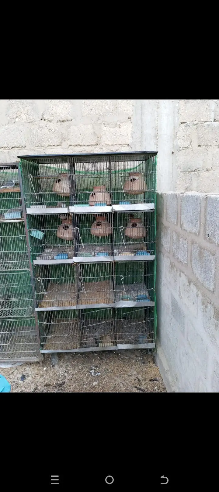 i want to sell my cages