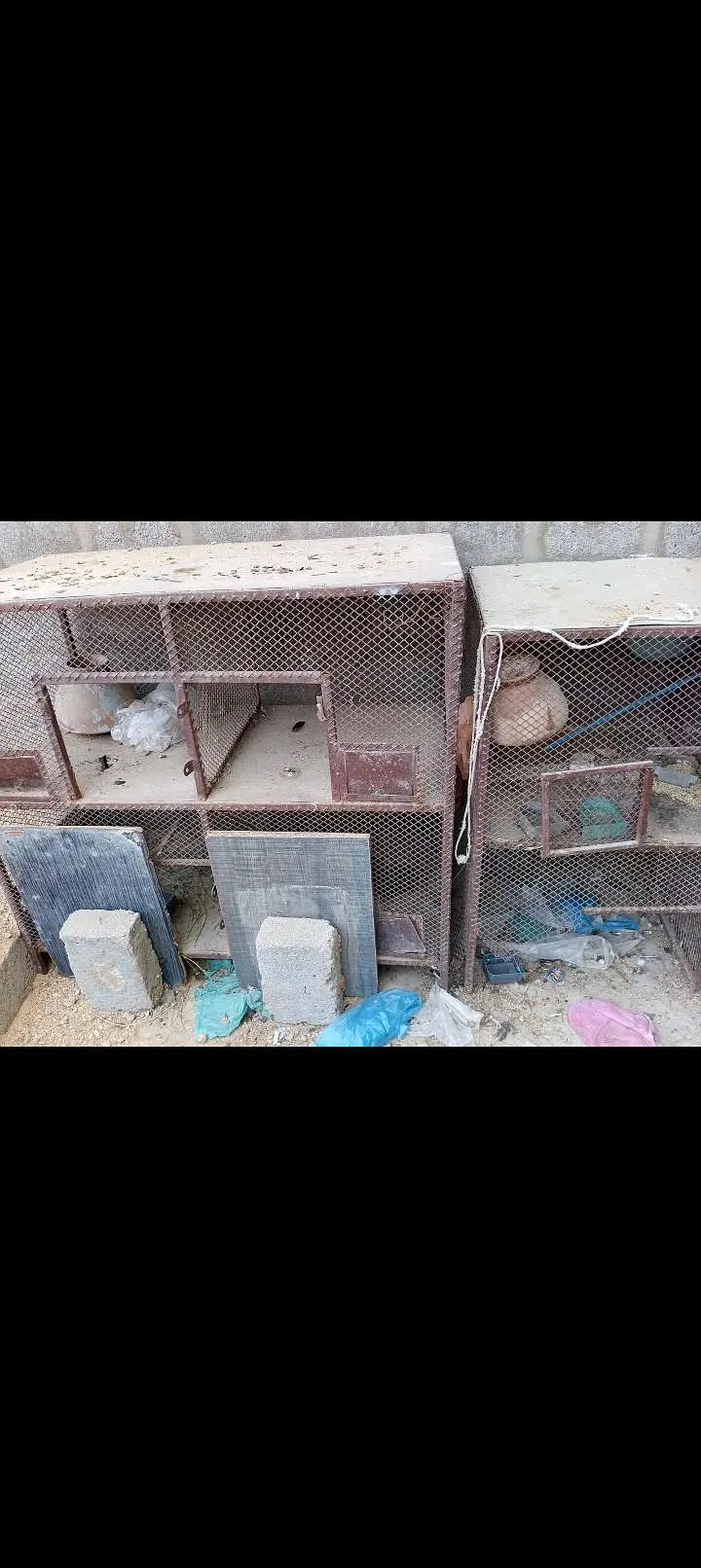 i want to sell my cages — photo 2