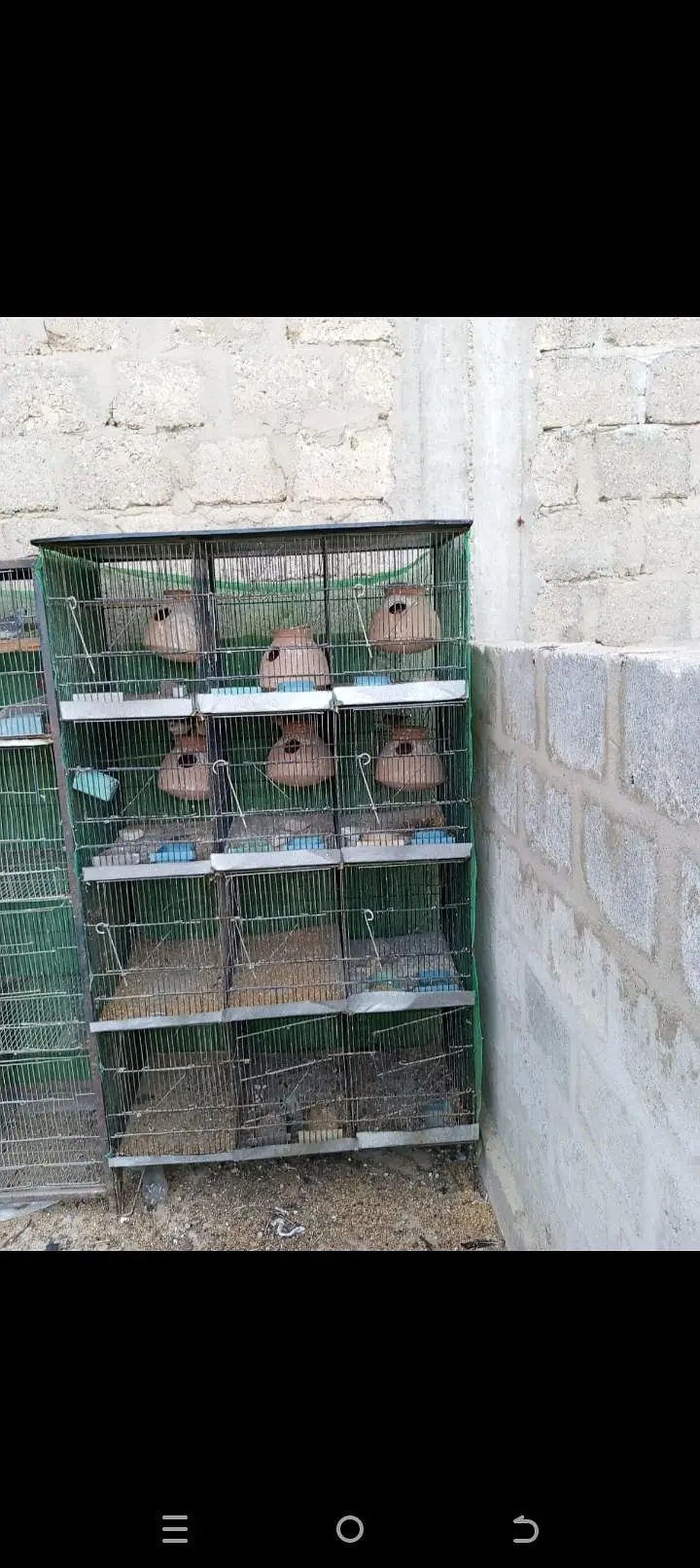 i want to sell my cages — photo 3