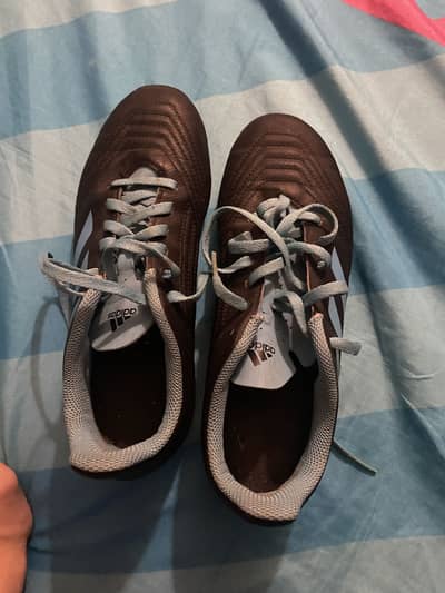 NEW ADDIDAS PREDETOR STUDS