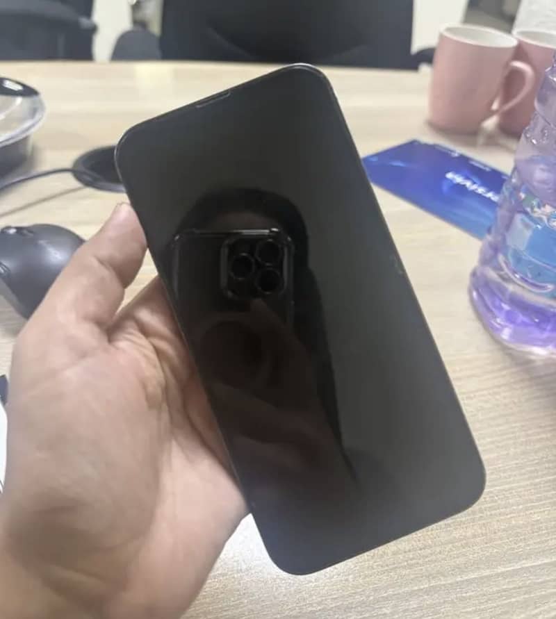 Apple iPhone 13 Pro Max 0