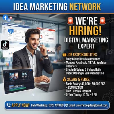 digital marketing expert
